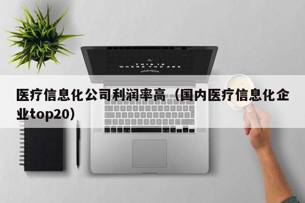 医疗信息化公司利润率高（国内医疗信息化企业top20）